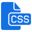 CSS MCQ Icon